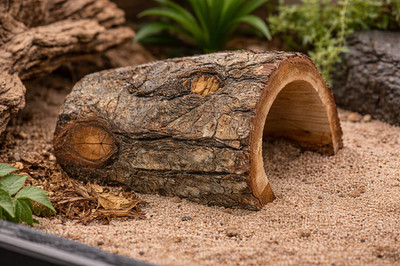 Natural Wood Reptile Hide Log Cave for Gecko Snake Lizard Small Terrarium Decor