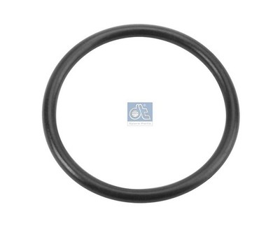 DT Spare Parts Dichtring 4.20445