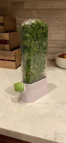 Keeper and Herb Saver, PlasticStorage Container for Cilantro, Mint, Parsley,New - Bild 6 von 13