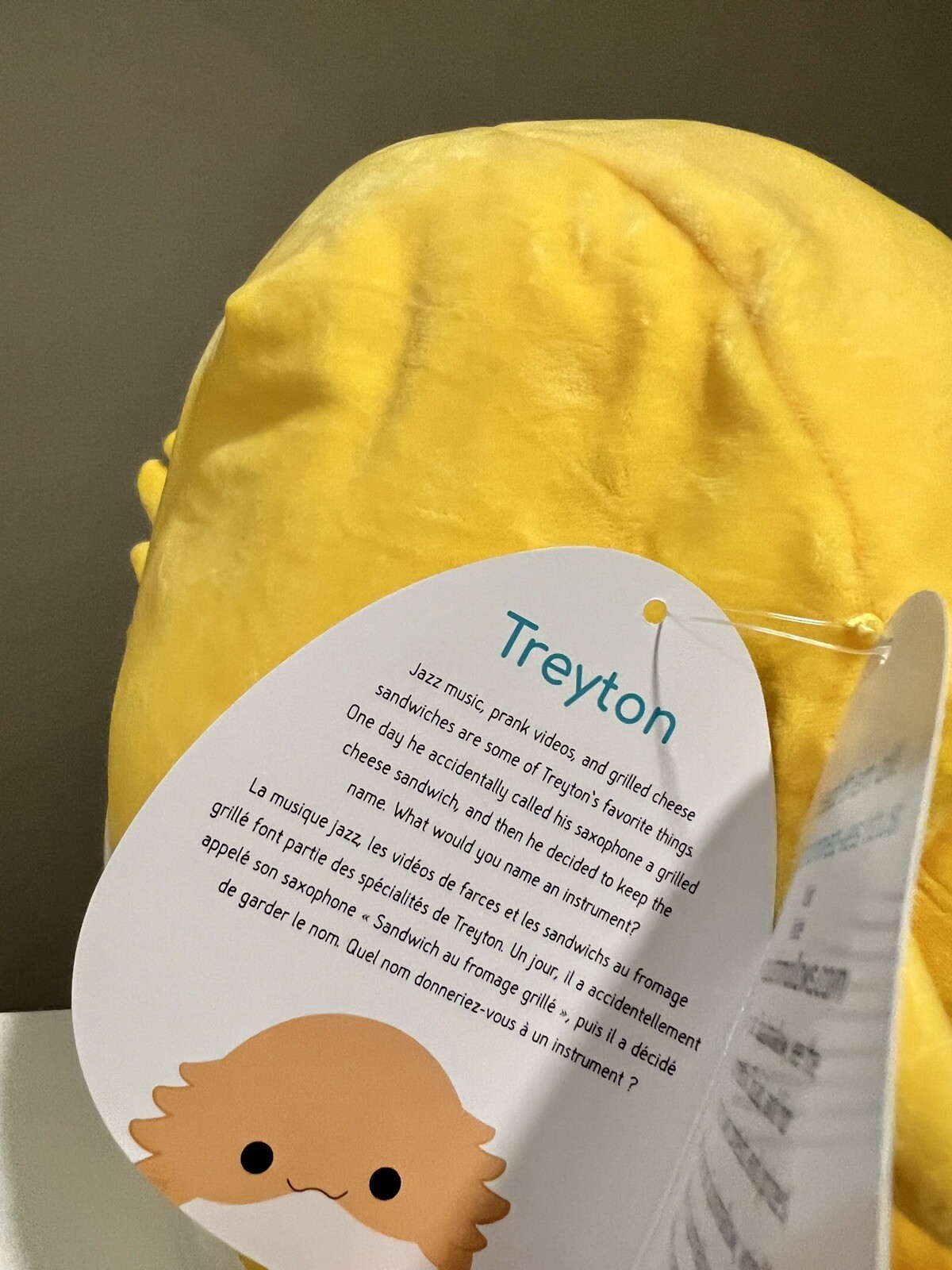 KellyToy Rodry 24 Inch Bearded Dragon Squishmallow Bertwin Treyton Twin - seensociety.com