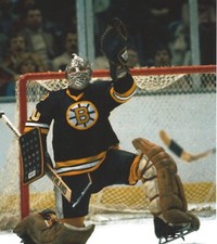 GERRY CHEEVERS 8X10 PHOTO HOCKEY BOSTON BRUINS PICTURE HOCKEY COLOR NHL