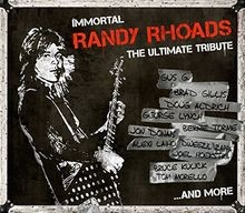 Immortal Randy Rhoads-the Ultimate Tribute von Various | CD | Zustand gut
