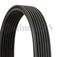 Original Continental Ctam Keilrippenriemen 7DPK1884 FüR BMW