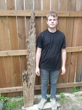 11+ Years Selling Cypress w/eBay Old Growth Ancient Sinker Craft Wood Worm Holes