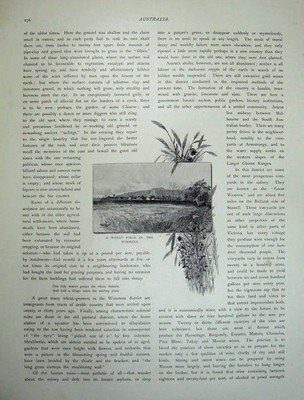 Antiker alter Druck 1886 Australien Victoria Stawell Weizenfeld Wimmera Kunst 19.