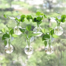 6 pcs Window Propagation Stations, Easy to Install Plant Propagation Bulbs wi...