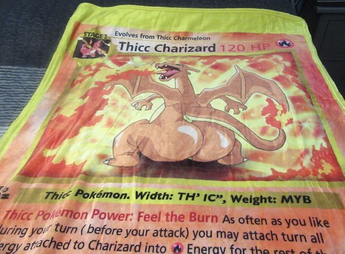 Thicc Charizard Blanket Soft Pokemon 57 in x 38 in - 第 1/6 張圖片