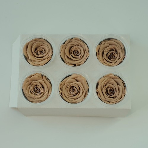 Preserved Rose FLower 6Pcs / Gift Box Head 5-5.5cm - Bild 47 von 73