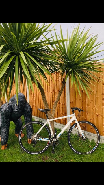 schwinn admiral 700cc women's bike