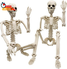 2 Pack 36"Halloween Skeleton - 3 Ft Life Size Human Skeleton with Full Body Posa