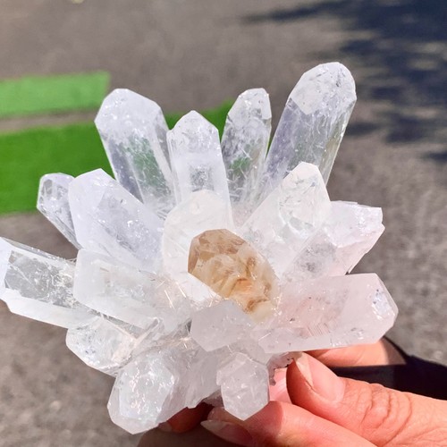310G New Find white+yellow Phantom Quartz Crystal Cluster Mineral Specimen - Picture 19 of 23