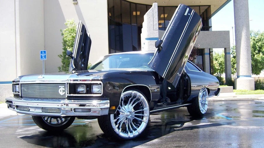 Oldsmobile 88 1971-1976 Puertas Lambo Pernos Puertas Verticales Inc FÁCIL INSTALACIÓN Foto 2 de 2