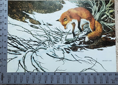 THE ART OF ＢＥＶ　DOOLITTLE MISSED Art Print Bookplate Painted by Bev Doolittle – Wall