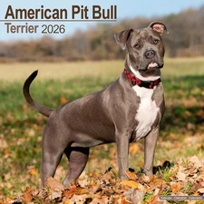 AMERICAN PIT BULL TERRIER - 2026 WALL CALENDAR - BRAND NEW - 06049