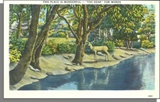 28009: This Place is Wonderful - "Too Dear" For Words - Vintage 1940s Postcard!