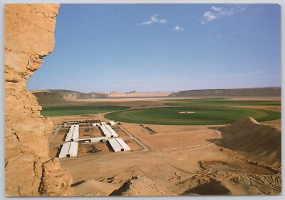Saudi Arabia Vintage Postcard Agriculture in the Kingdom