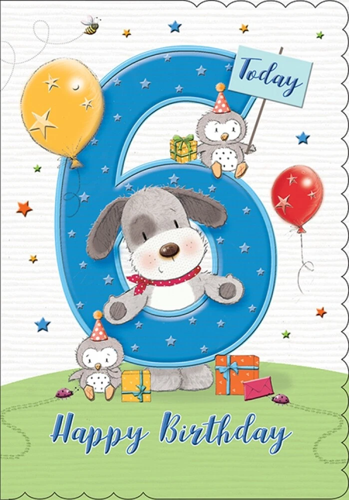 Happy 6th birthday sale boy