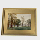 Framed and mounted woodland park signed watercolour painting