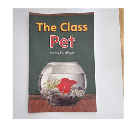 The Class Pet by Nancy Furstinger Level D RUBICON Pearson Illustrated PB 2008