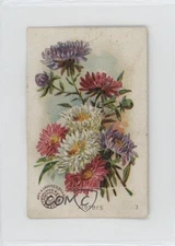 1895 Arm & Hammer Beautiful Flowers Asters #3 05ct