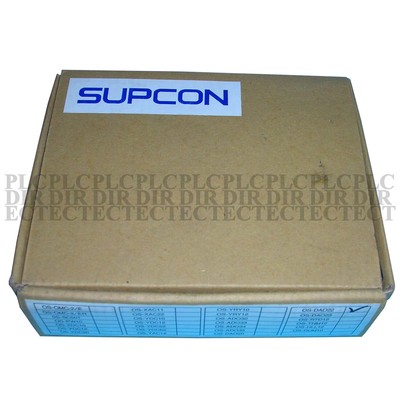 Brand New in Box SUPCON OS-DA022 / OS-DAO22 Input Module #E8