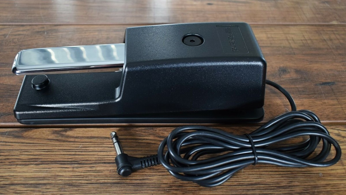 Roland DP-10 Keyboard Damper Pedal | eBay