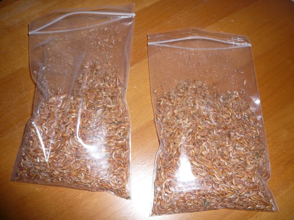 NO NAME 700 ml Gammarus Bachflohkrebse , Fischfutter , Futter Nagetiere (9,92€/L)