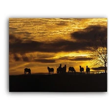 Horses At Sunset Framed Canvas Stretched Ready to Hang 50x40 Home decor Gift.
