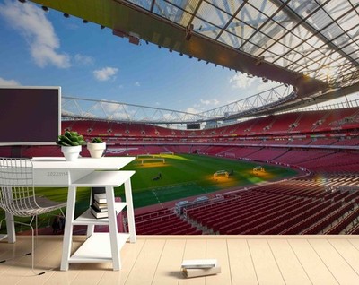 3D Emirates Stadium Self-adhesive Removeable Wallpaper Wall Mural