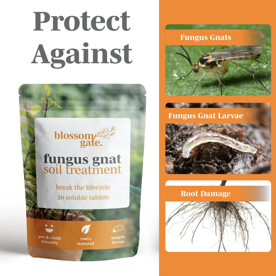 Photo inspiration: Gallery Detail: Fungus Gnat Control Natural Pesticide Free Solution For Effective