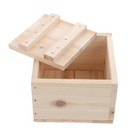 Bild 12 von 12