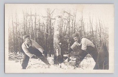 Antique Cyko RPPC Loggers Cutting Down birch tree by hand somewhere cold