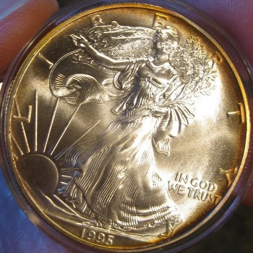 1995 Silver American Eagle (BU), Gold periperal toning both sides, 5201