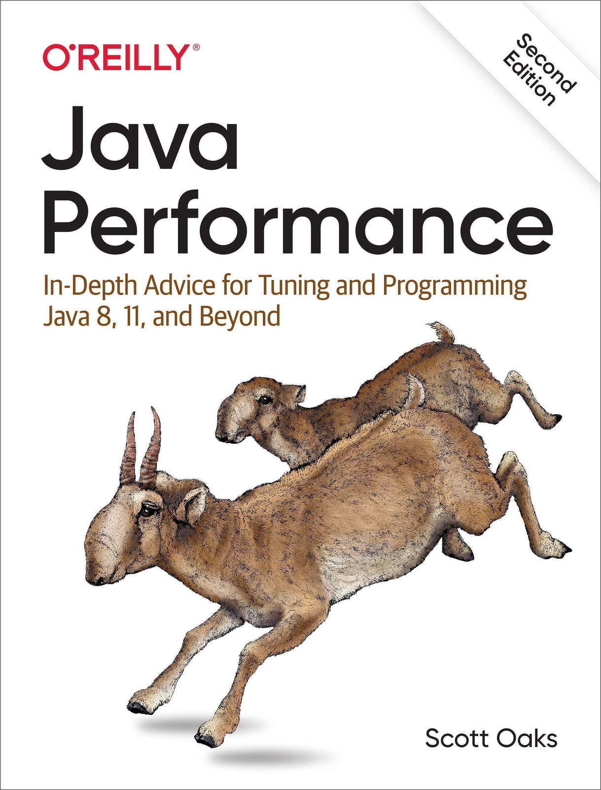 Thumbnail - Java Performance | Scott Oaks | Taschenbuch | Kartoniert / Broschiert