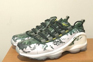 dmx run 10 x predator