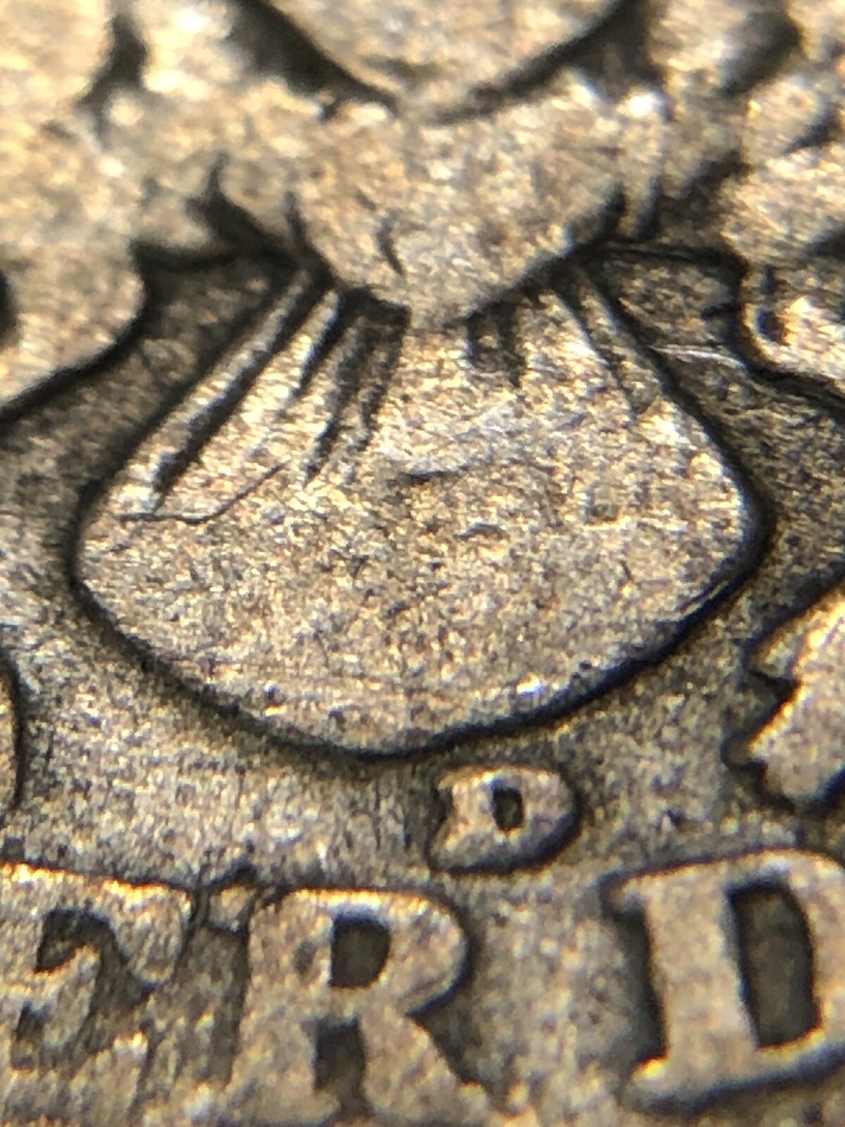 Foto 5 di 5