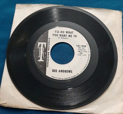 Dee Andrews 45 Stop! You're Hurting My Heart / I'll Do What You Want Me To good