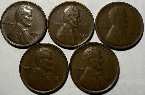 Qty 5 ~ 1930 D Lincoln Wheat Cent VF/XF Nice Coins #3