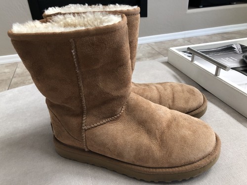 Ugg Women's Chestnut Short Classic 