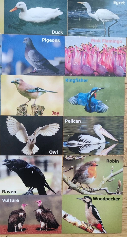 Memory Card Game Birds For Kids & Adults 30 sets / 60 Cards Matching Game - Image 4 of 4