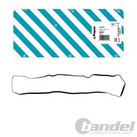 Payen Ventildeckeldichtung Passend FüR CitroËN Berlingo C2 C3 C4 Xsara Peugeot