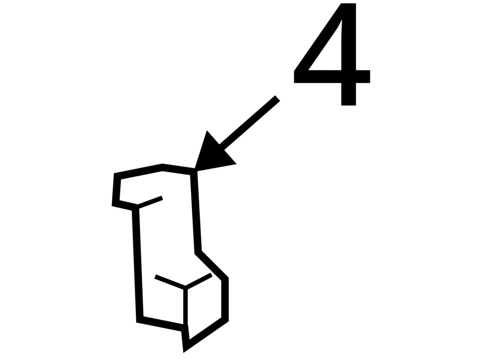 GM CLIP RR S/D I/S HDL <USE 1 12376705 NUEVO OEM 12376705 Foto 3 de 3