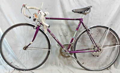1976 Ross Grand Prix Road Bike 52cm Small Steel Fenders Shimano
