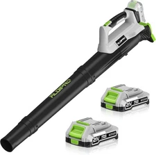 Soplador Hojas Inalámbrico 21V con 2 Baterías 2.0Ah y Cargador Rápido