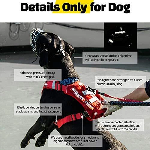 Dog Harness, No-Pull Pet Harness, Adjustable Eva Padded Dog Vest, S Light Grey
