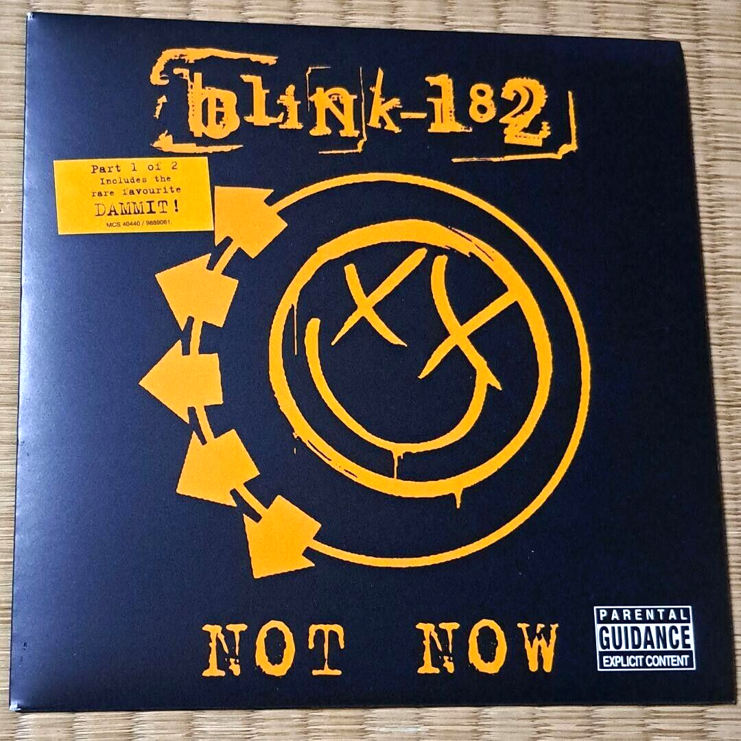 Blink-182 / Not Now Part 1 Single 7
