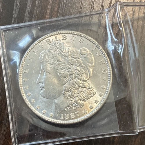 Morgan 1887 Silver Dollar $1 Coin 0.9 Fineness Uncertified United States