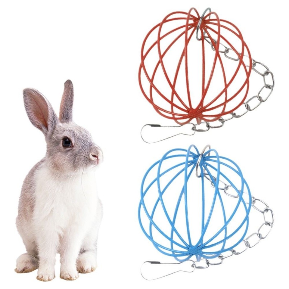 Stainless Steel Rabbit Grass Feeder Round Hay Feeder Ball For Small ...
