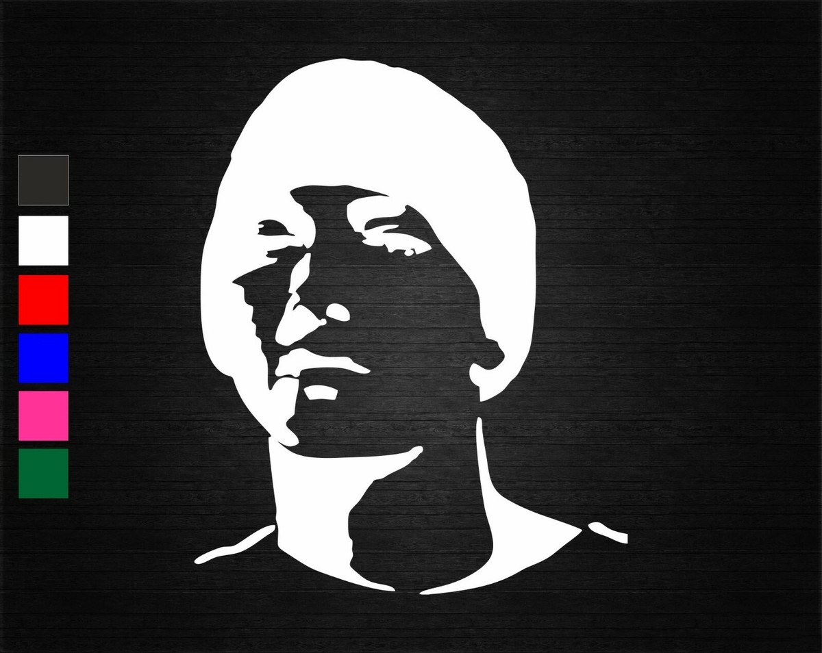 EMINEM RAPPER SINGER VINYL DECAL STICKER CAR/VAN/WALL/LAPTOP
