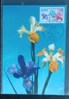 FRANCE INTERNATIONAL FLORAL SHOW FLOWERS 1969 FIRST DAY CANCEL MAXIMUM CARD